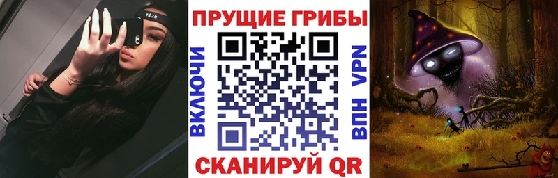 Псилоцибиновые грибы Psilocybe  Покров 